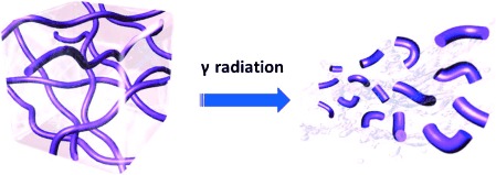 γ-Ray-Responsive Supramolecular Hydrogel Based on a Diselenide-Containing Polymer and a Peptide