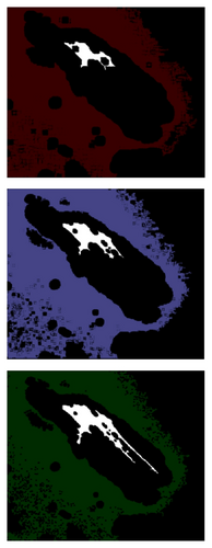 Details are in the caption following the image Details are in the caption following the image