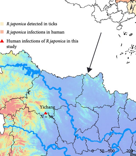 Details are in the caption following the image