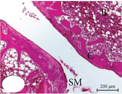 Details are in the caption following the image