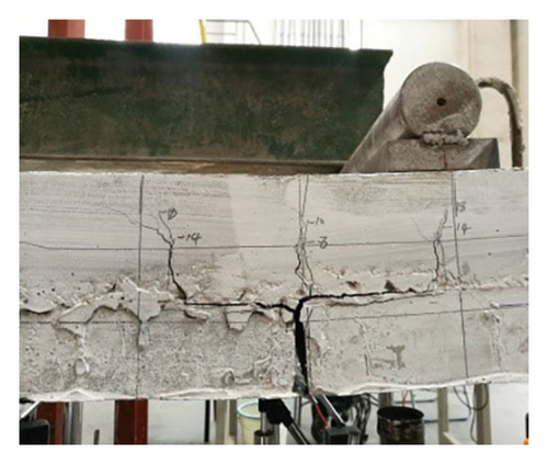 Details are in the caption following the image Details are in the caption following the image
