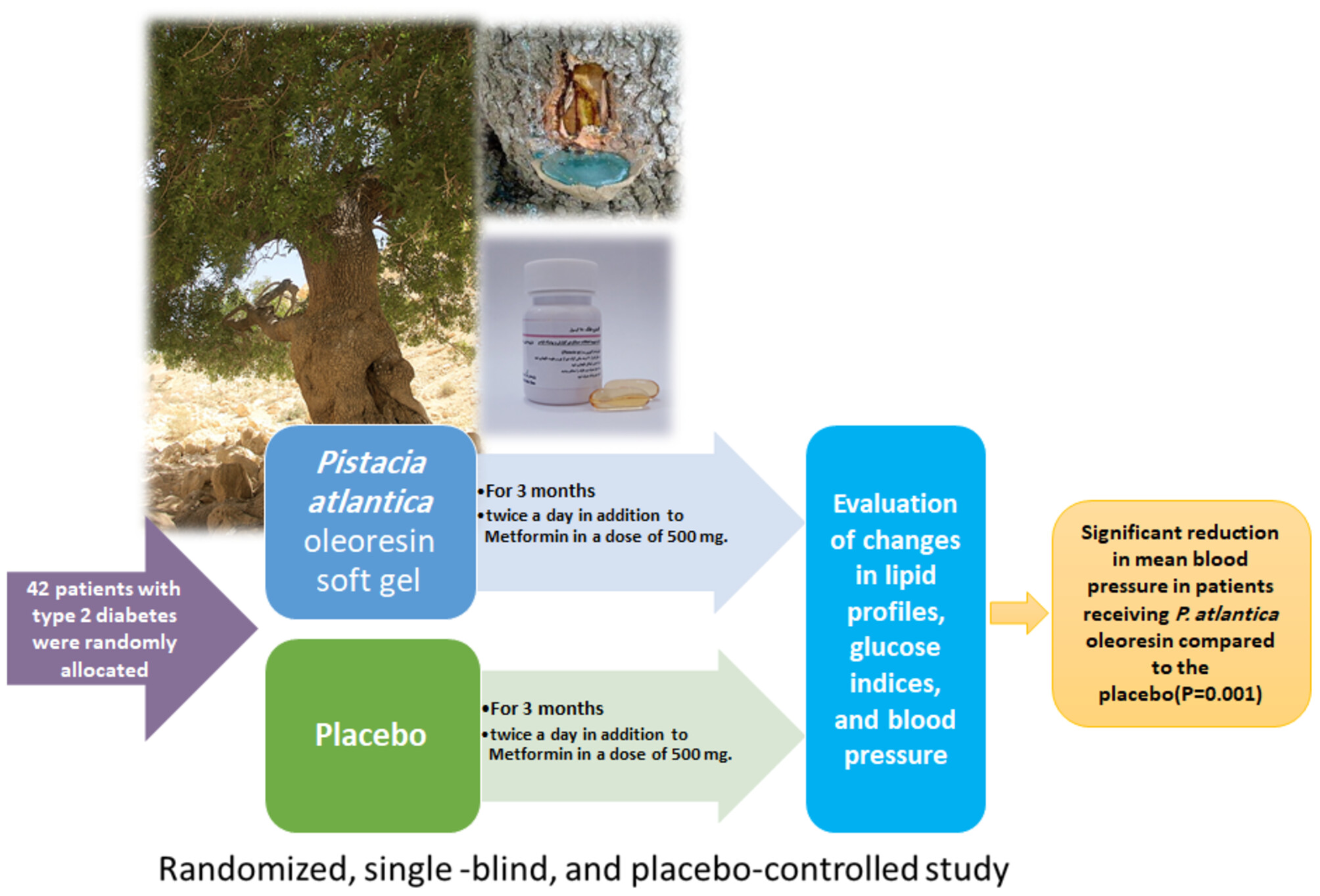 Evaluation of the Effect of Pistacia atlantica Oleoresin on Blood Sugar, Pressure and Lipids in Patients With Type 2 Diabetes: A Single-Blind, Placebo-Controlled Trial