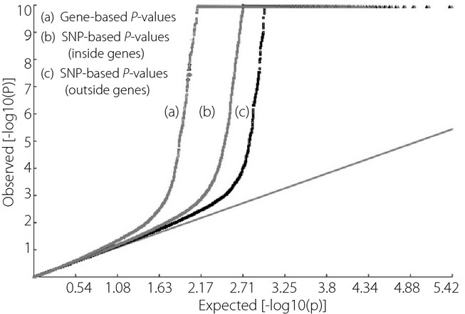 Identification of novel risk genes associated with type 1 diabetes mellitus using a genome-wide gene-based association analysis