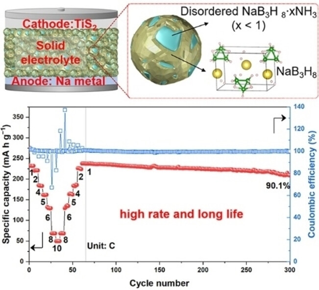 A High-Rate and Long-Life Sodium Metal Battery Based on a NaB3H8 ⋅ xNH3@NaB3H8 Composite Solid-State Electrolyte