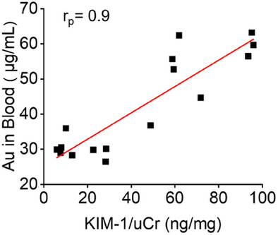 Blood Retention and Kidney Clearance of Renal-Clearable Gold Nanoparticles Strongly Correlate with Renal Injury Biomarkers