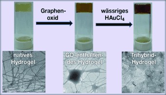 A Gel-Based Trihybrid System Containing Nanofibers, Nanosheets, and Nanoparticles: Modulation of the Rheological Property and Catalysis