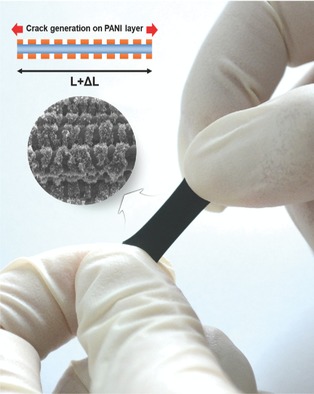 Fabrication of a Highly Sensitive Stretchable Strain Sensor Utilizing a Microfibrous Membrane and a Cracking Structure on Conducting Polymer