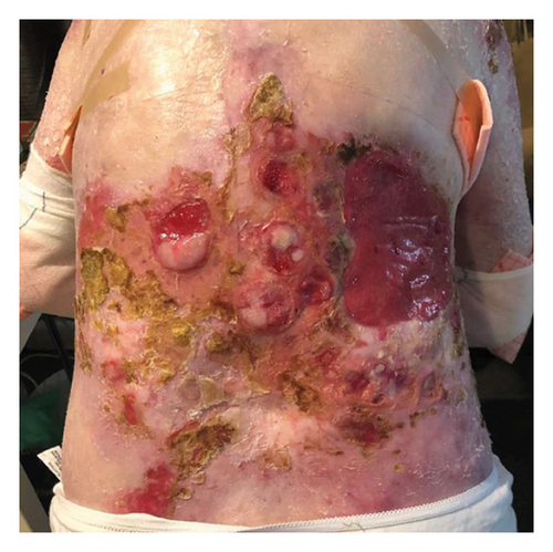 Details are in the caption following the image Details are in the caption following the image