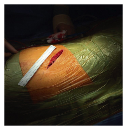 Details are in the caption following the image Details are in the caption following the image