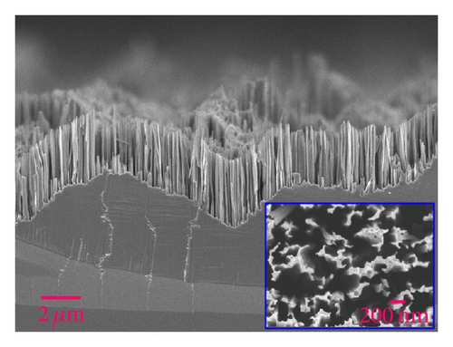 Details are in the caption following the image