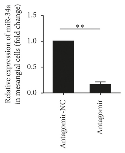 Details are in the caption following the image