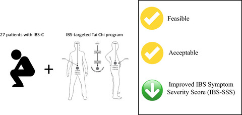 Virtual Tai Chi program for patients with irritable bowel syndrome with constipation: Proof-of-concept feasibility trial