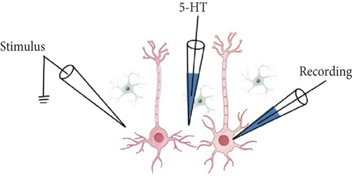 Details are in the caption following the image