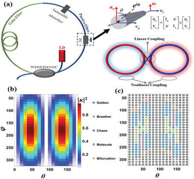Emergent Phenomena of Vector Solitons Induced by the Linear Coupling