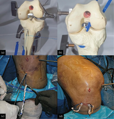 Details are in the caption following the image Details are in the caption following the image