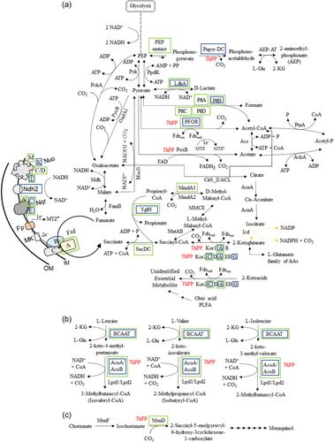 Details are in the caption following the image Details are in the caption following the image