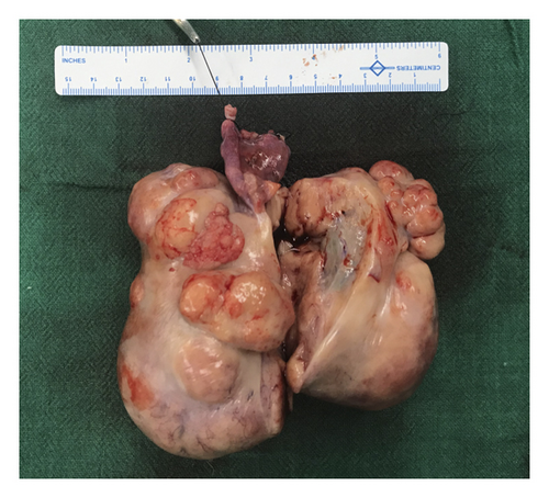 Details are in the caption following the image Details are in the caption following the image