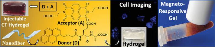Chiral Self-Assembly of a Pyrene-Appended Glutamylalanine Dipeptide and Its Charge Transfer Complex: Fabrication of Magneto-Responsive Hydrogels and Human Cell Imaging