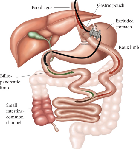 Details are in the caption following the image Details are in the caption following the image