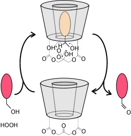 Very High Rate Enhancement of Benzyl Alcohol Oxidation by an Artificial Enzyme