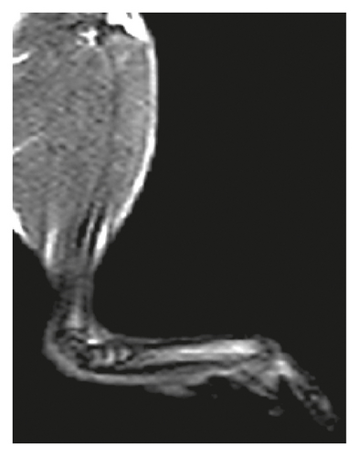 Details are in the caption following the image