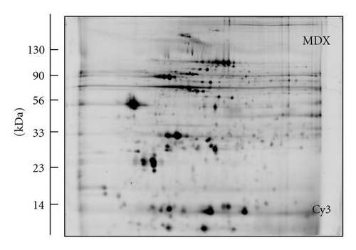 Details are in the caption following the image