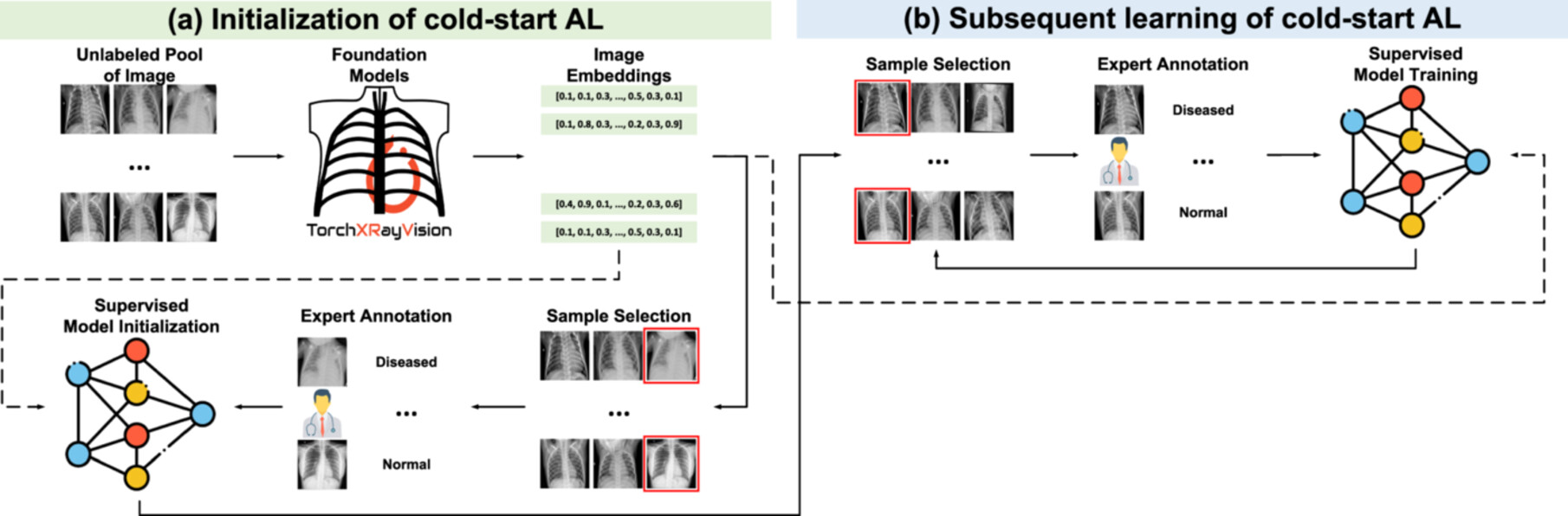 Rethinking Domain-Specific Pretraining by Supervised or Self-Supervised Learning for Chest Radiograph Classification: A Comparative Study Against ImageNet Counterparts in Cold-Start Active Learning