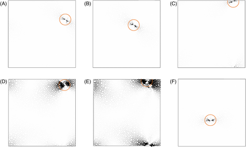 Details are in the caption following the image Details are in the caption following the image