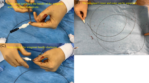 Details are in the caption following the image Details are in the caption following the image