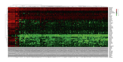 Details are in the caption following the image Details are in the caption following the image