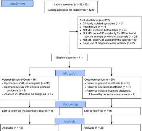 Obstetric anesthesia/analgesia does not affect disease course in multiple sclerosis: 10-year retrospective cohort study