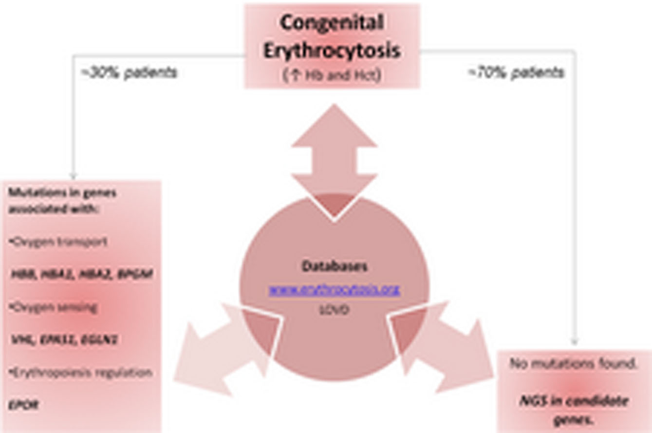 Genetic Basis of Congenital Erythrocytosis: Mutation Update and Online Databases
