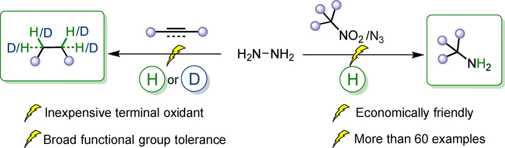 eHydrogenation: Hydrogen-free Electrochemical Hydrogenation