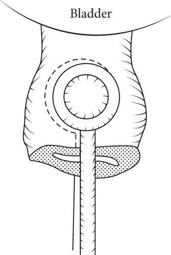 Details are in the caption following the image Details are in the caption following the image