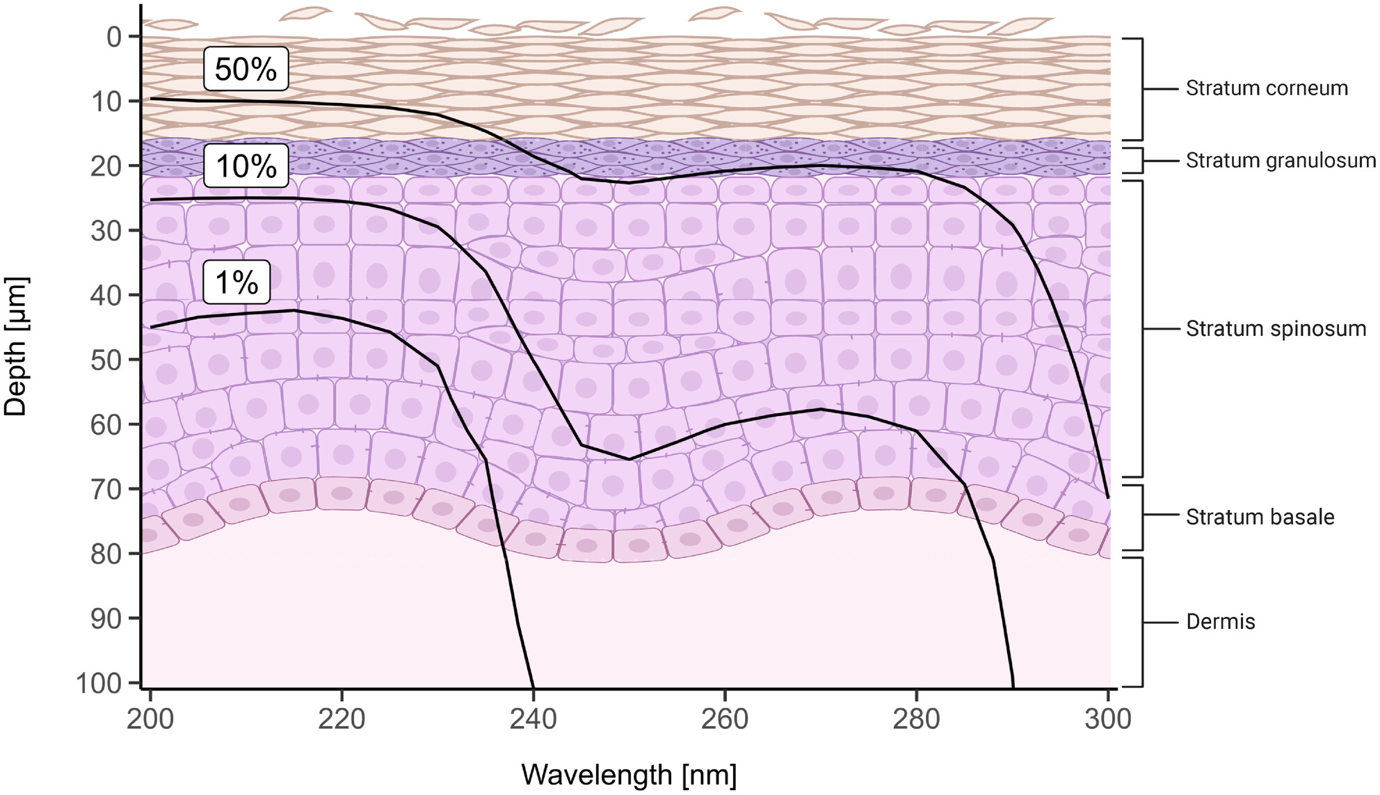Assessing the safety of new germicidal far-UVC technologies Issue 3, 2024