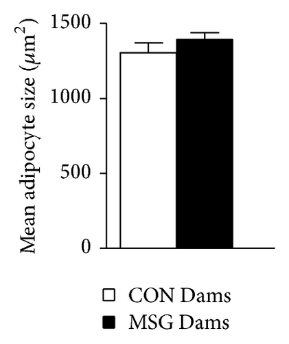 Details are in the caption following the image