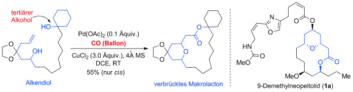Synthesis of Tetrahydropyran/Tetrahydrofuran-Containing Macrolides by Palladium-Catalyzed Alkoxycarbonylative Macrolactonizations