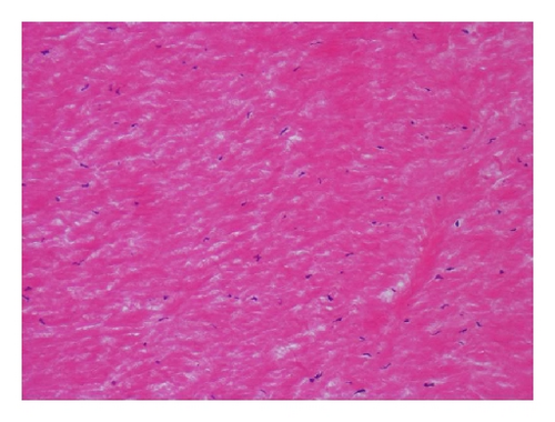 Details are in the caption following the image