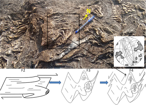 Details are in the caption following the image Details are in the caption following the image