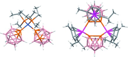 Diphosphaborane and Metalladiphosphaborane: Ligands for Transition-Metal Chemistry