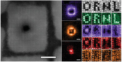Sculpting the Plasmonic Responses of Nanoparticles by Directed Electron Beam Irradiation