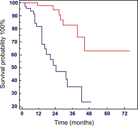 Prognostic impact of the cumulative dose and dose intensity of everolimus in patients with pancreatic neuroendocrine tumors