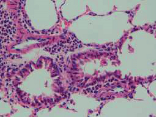 Details are in the caption following the image