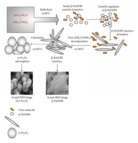 Details are in the caption following the image