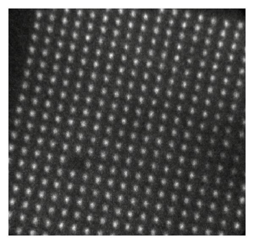 Details are in the caption following the image