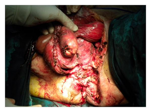 Details are in the caption following the image Details are in the caption following the image