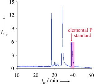 Absolute and Accurate Quantification of Protein Phosphorylation by Using an Elemental Phosphorus Standard and Element Mass Spectrometry