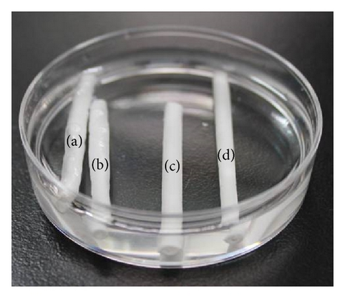 Details are in the caption following the image Details are in the caption following the image