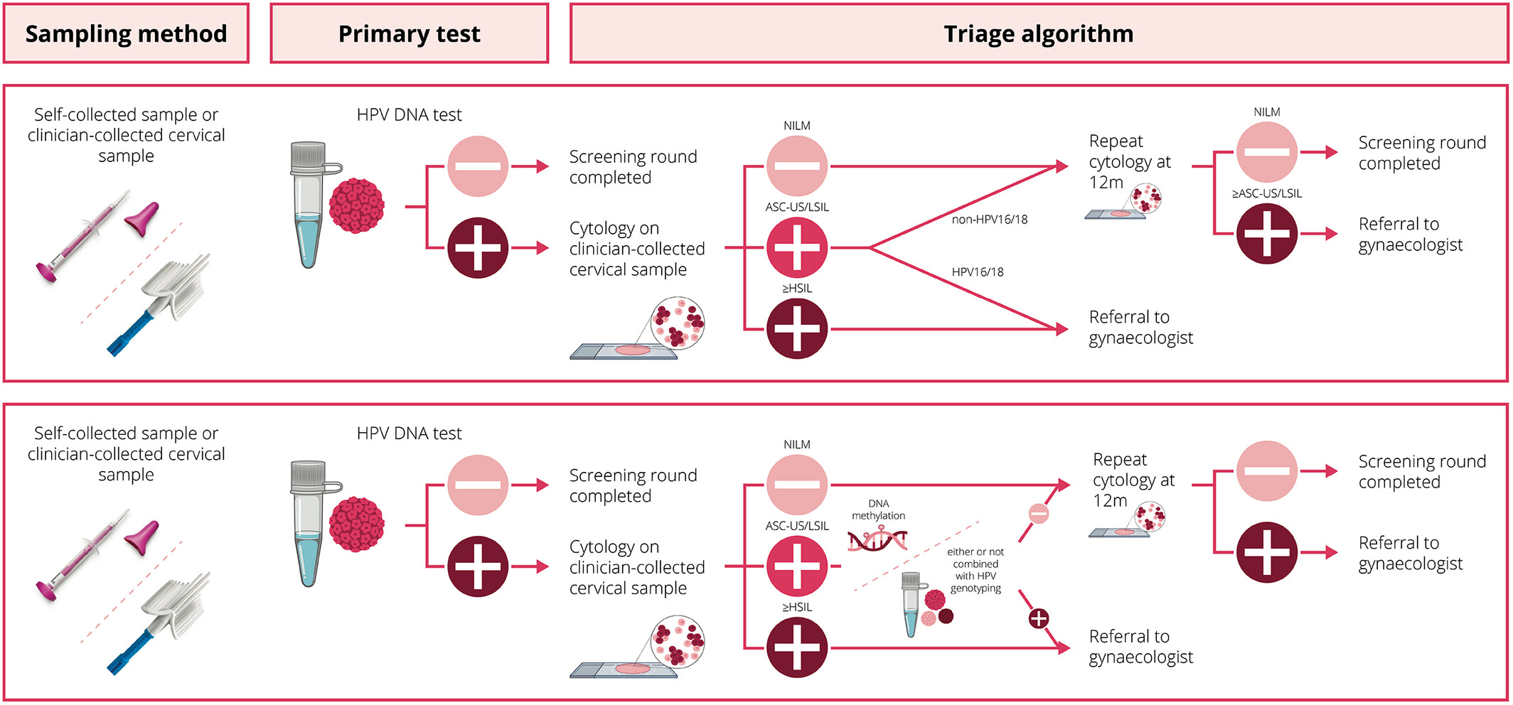Colposcopy referrals and CIN3 detection after triage by host cell DNA methylation and/or HPV genotyping in HPV positive women with low-grade cytology from a population-based Dutch primary HPV screening trial