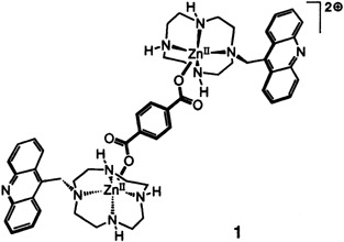 Molecular Recognition of Terephthalic Acid by Supramolecular Self-Assembly of an Acridine-Pendant Cyclen–ZnII Complex
